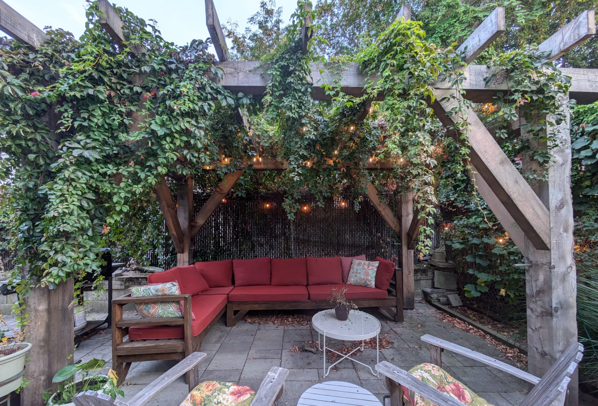 Vine-covered pergola with string lights